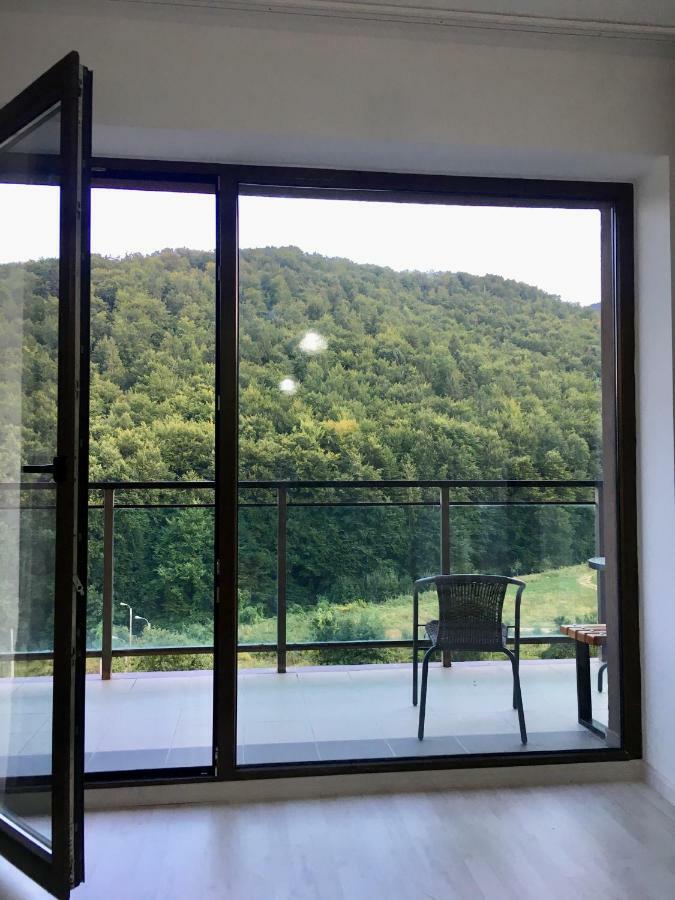 Nature View Apartment Brasov Exterior photo