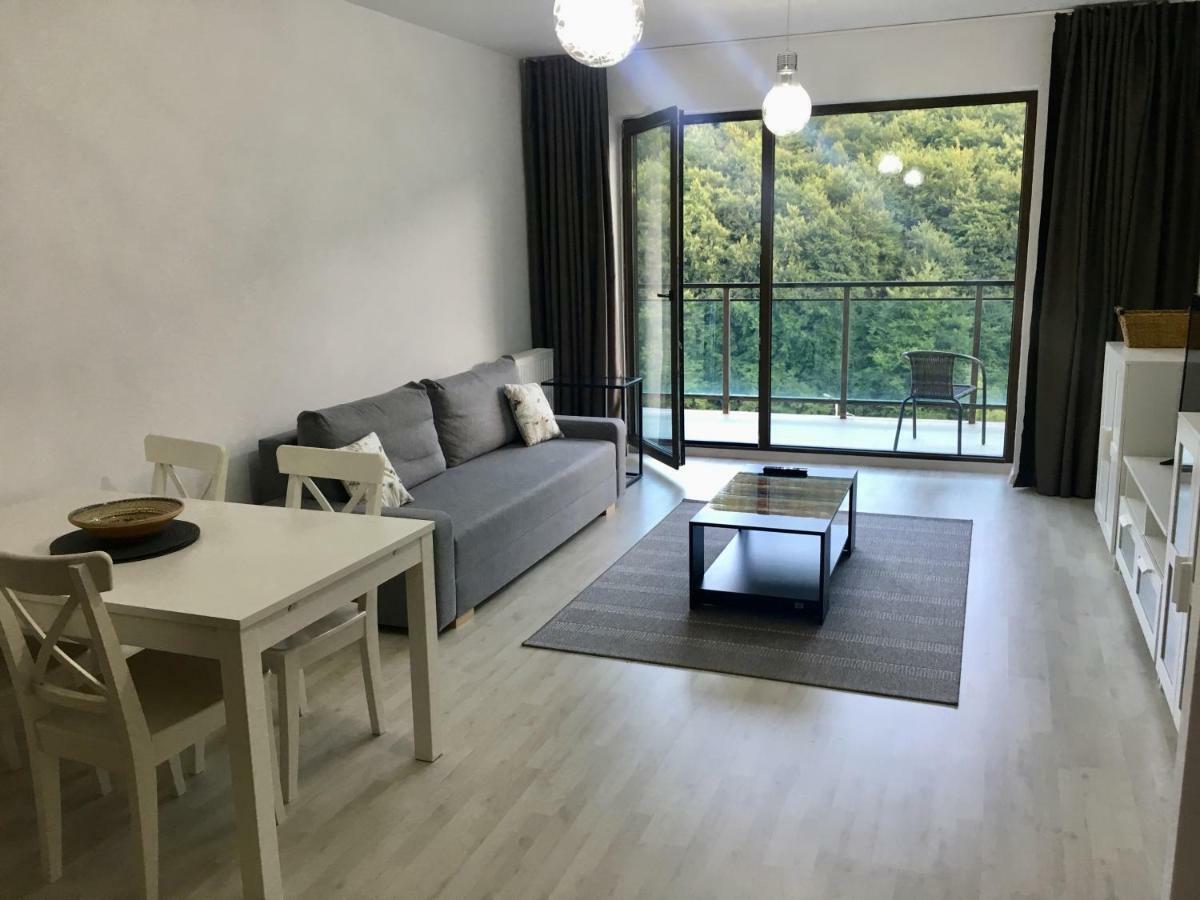 Nature View Apartment Brasov Exterior photo