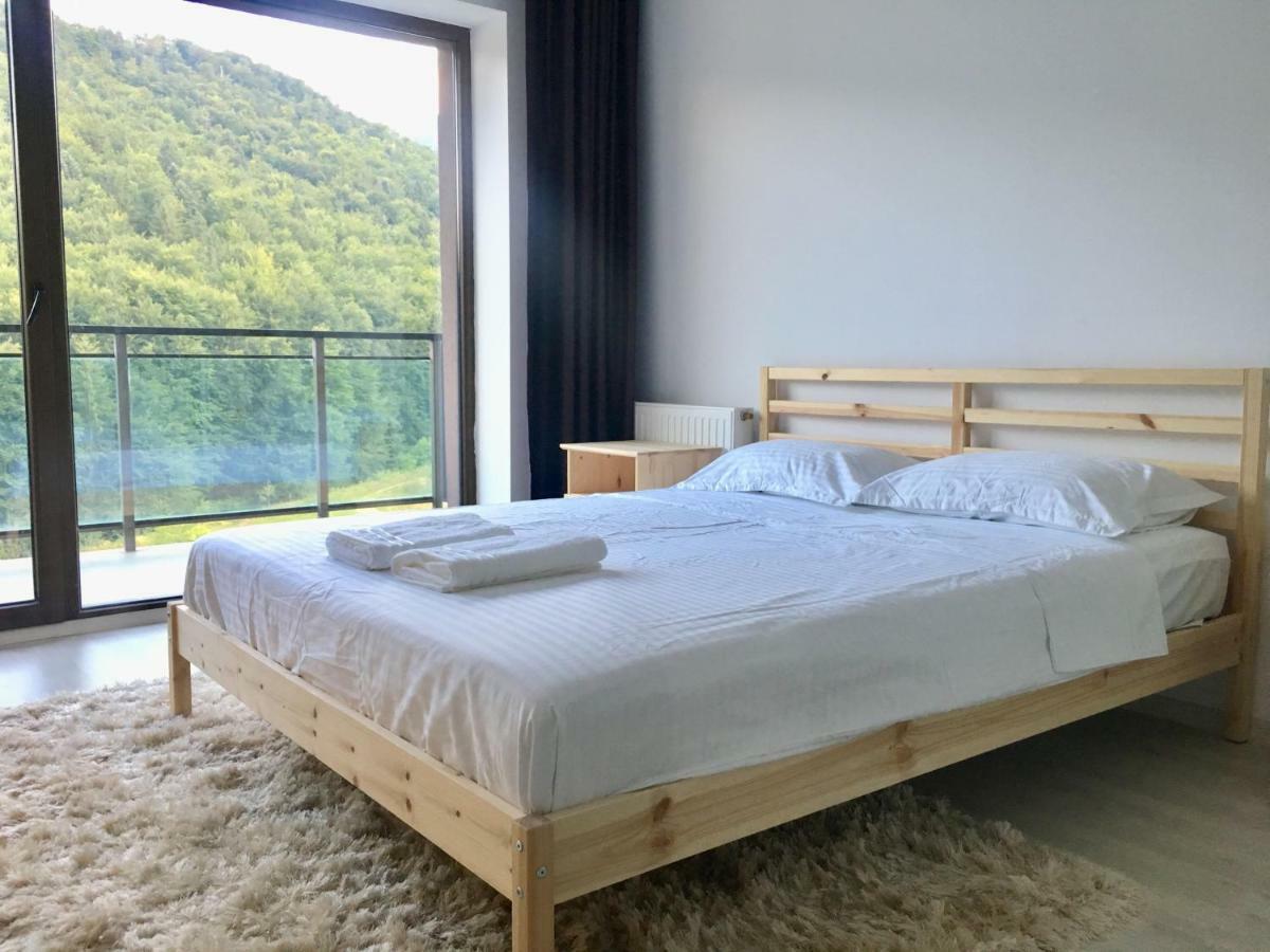 Nature View Apartment Brasov Exterior photo